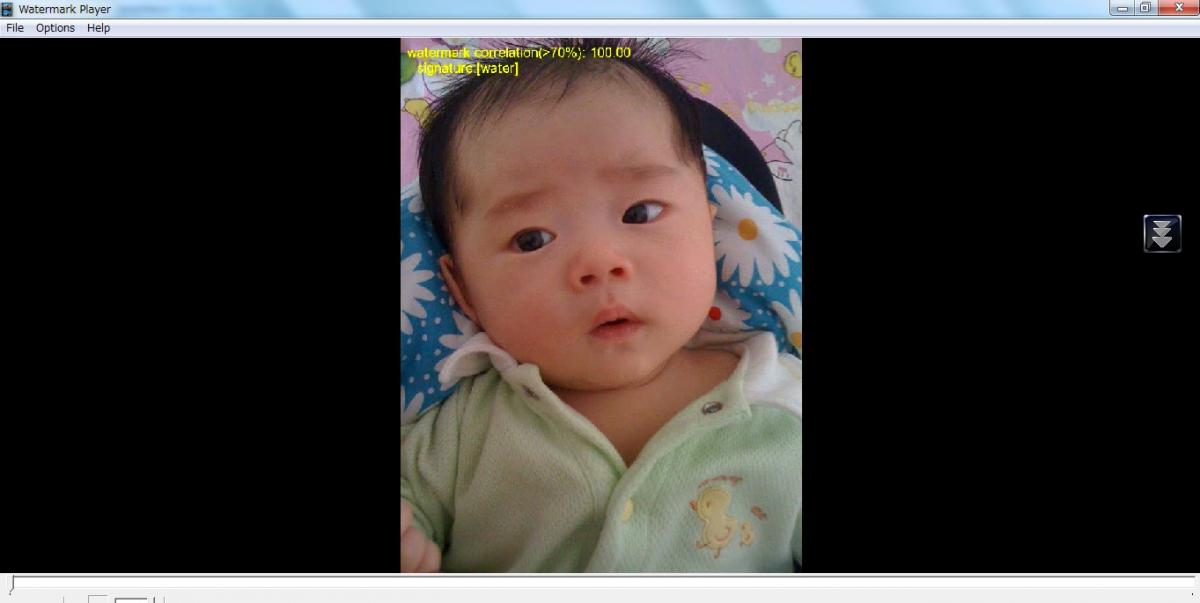 embed watermark 5